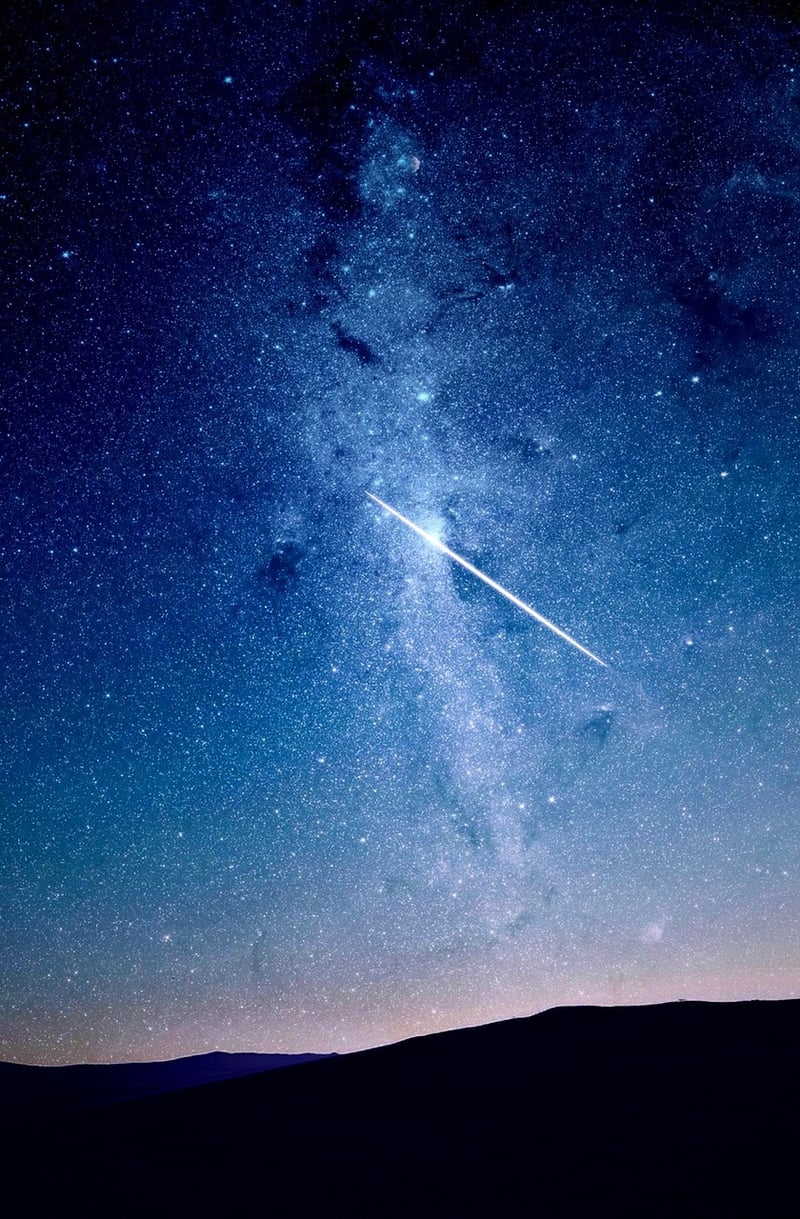 Astronomical Garden