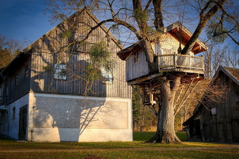 Treehouse Observatory